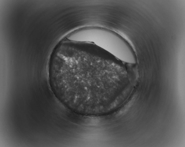 X0000088430935200706191231
