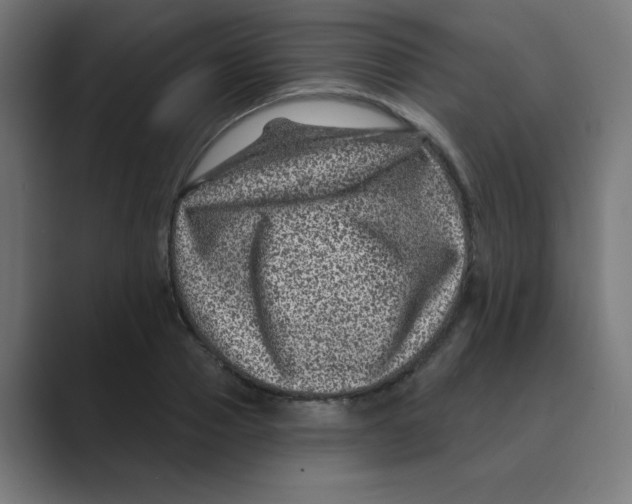X0000088430937200706191231