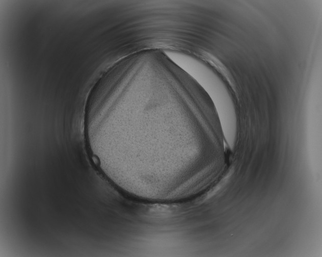 X0000088430938200706191231