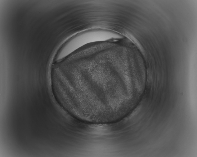 X0000088430939200706191231