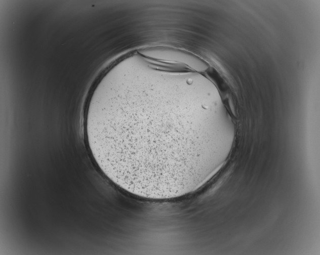 X0000088430940200706191231