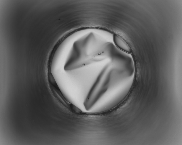 X0000088430942200706191231