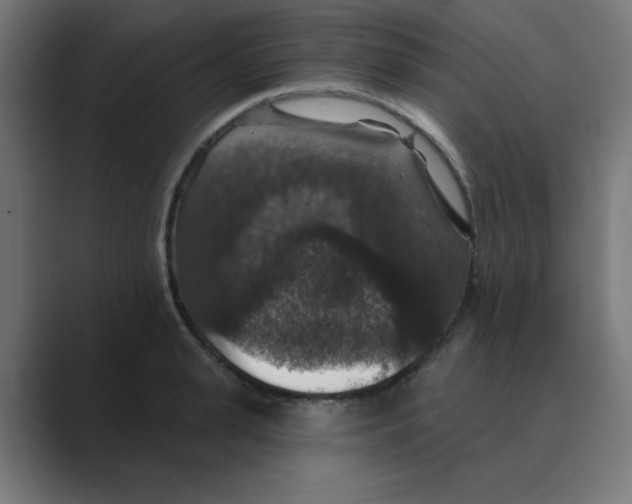 X0000088430943200706191231