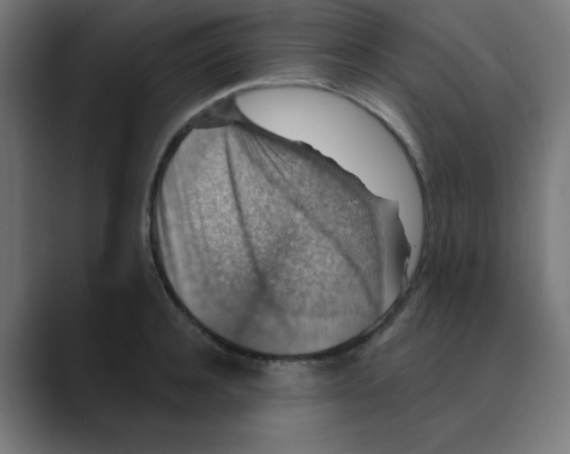 X0000088430944200706191231