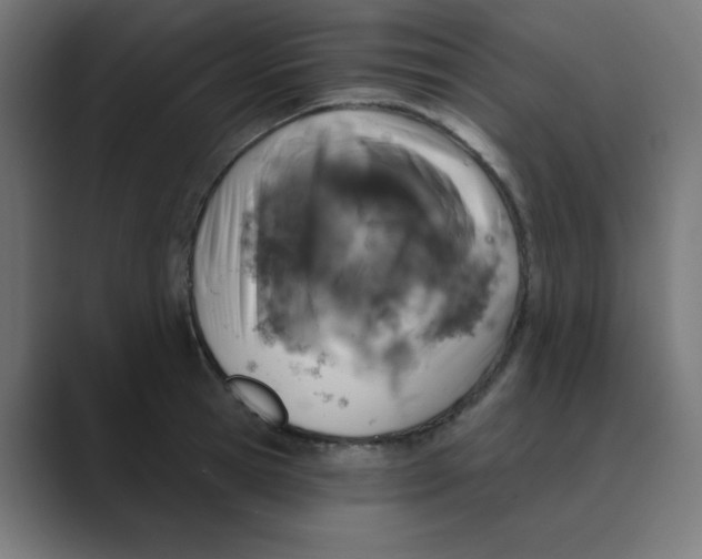 X0000088430945200706191231