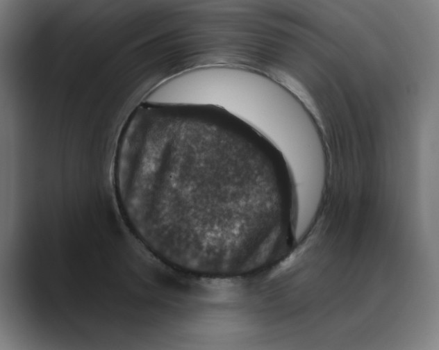 X0000088430946200706191231
