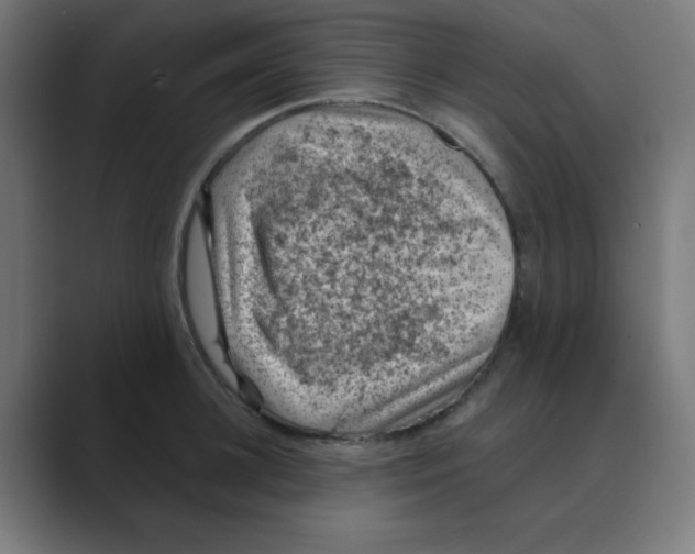 X0000088430948200706191231