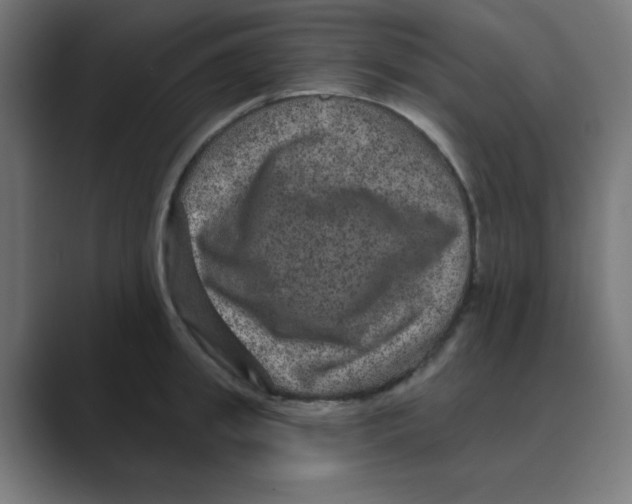 X0000088430949200706191231