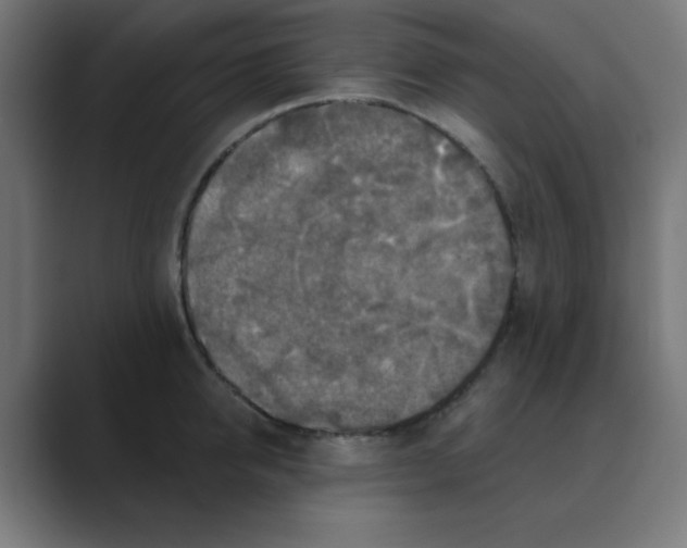 X0000088430950200706191231