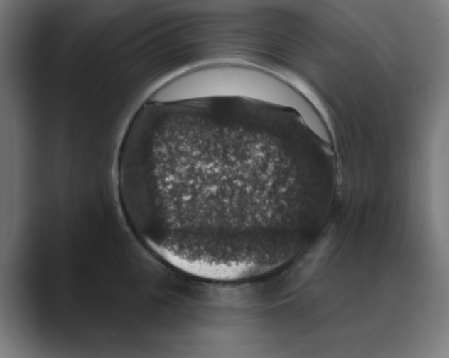 X0000088430951200706191231