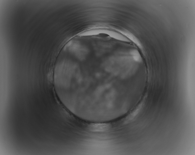 X0000088430953200706191231