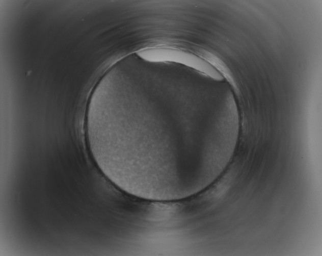 X0000088430954200706191231