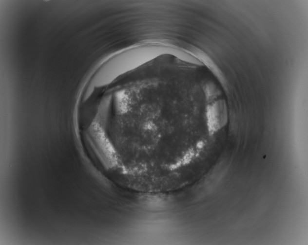 X0000088430955200706191231