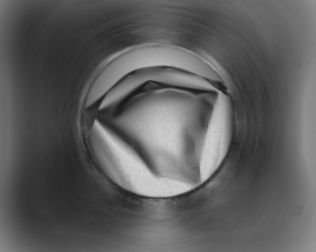 X0000088430956200706191232