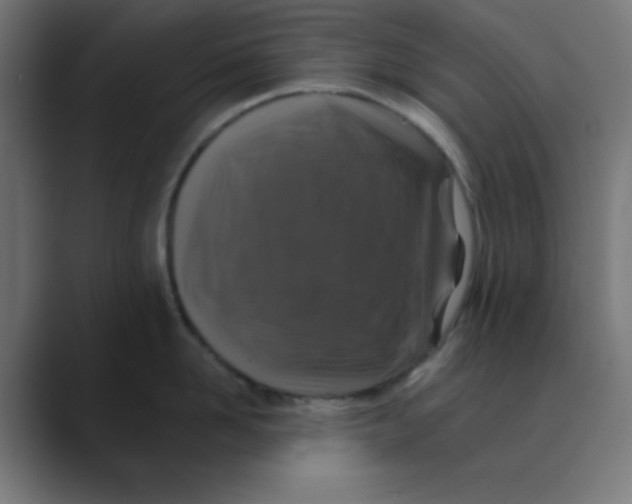 X0000088430958200706191232
