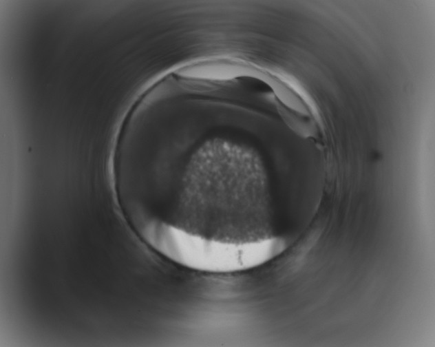 X0000088430959200706191232