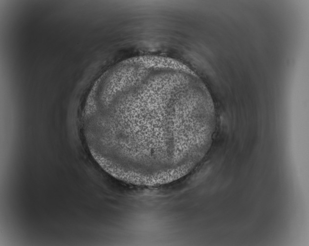 X0000088430961200706191231