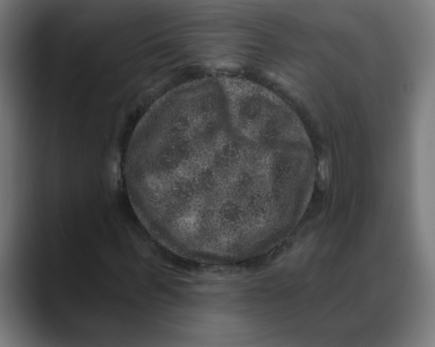 X0000088430963200706191231