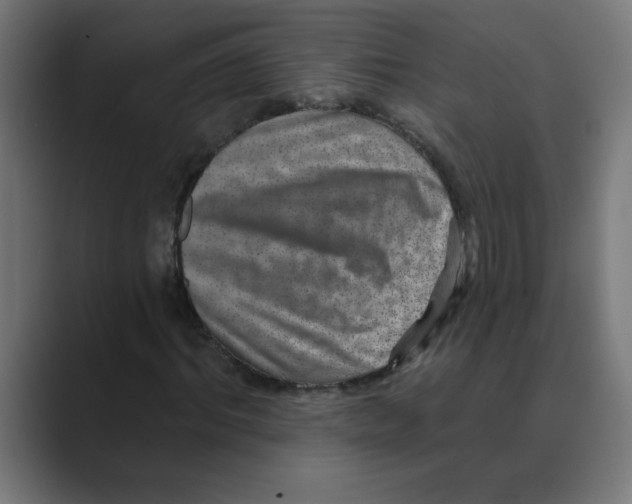 X0000088430964200706191231
