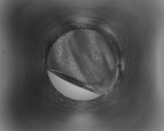 X0000088430965200706191231