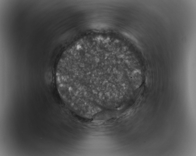 X0000088430966200706191231