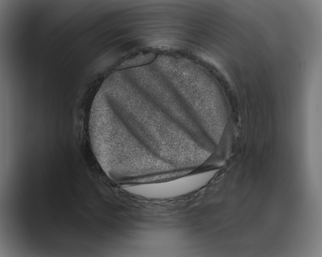 X0000088430968200706191231
