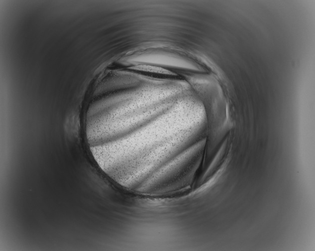 X0000088430969200706191231