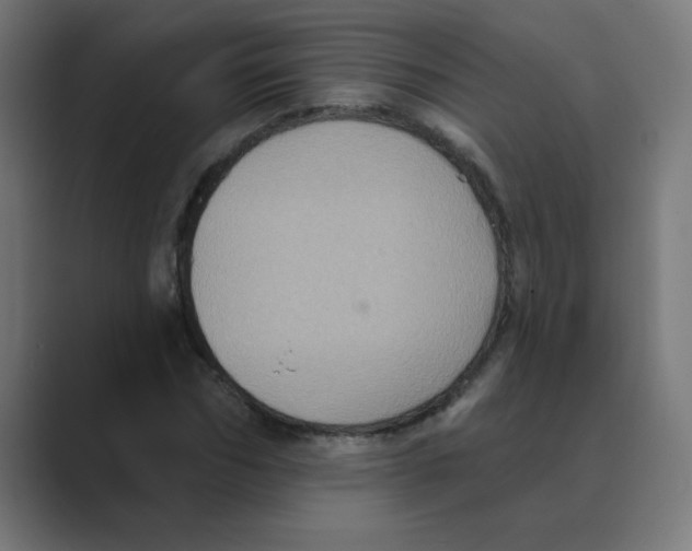 X0000088430970200706191231
