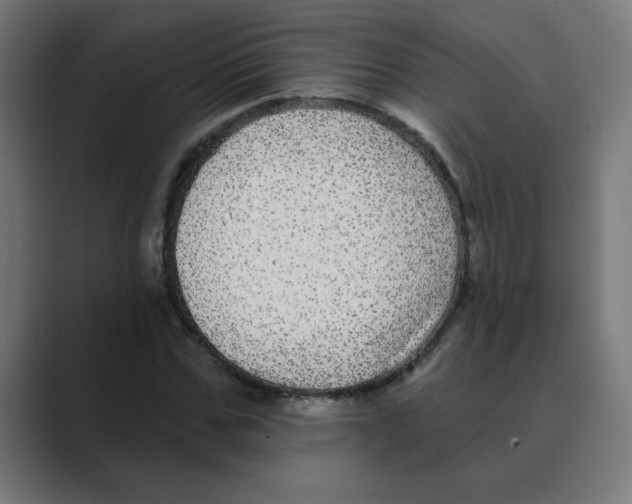 X0000088430971200706191231