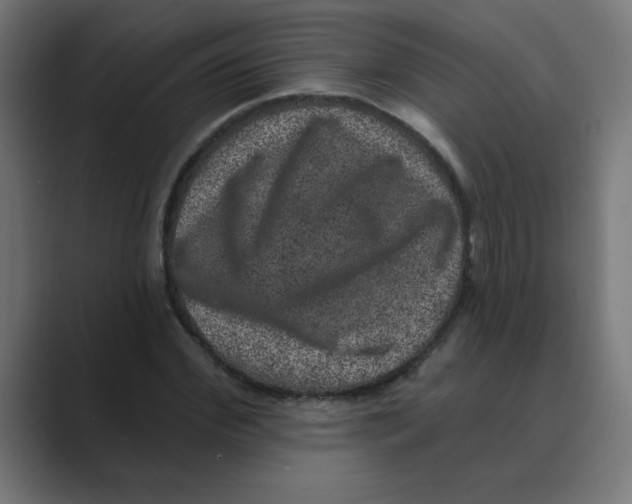 X0000088430972200706191231
