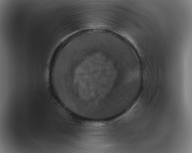 X0000088430975200706191231