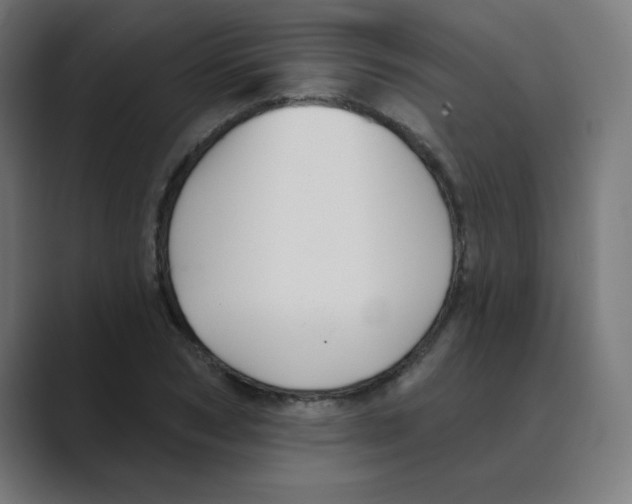 X0000088430978200706191231