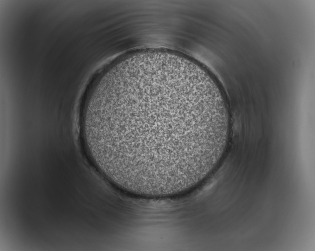 X0000088430979200706191231