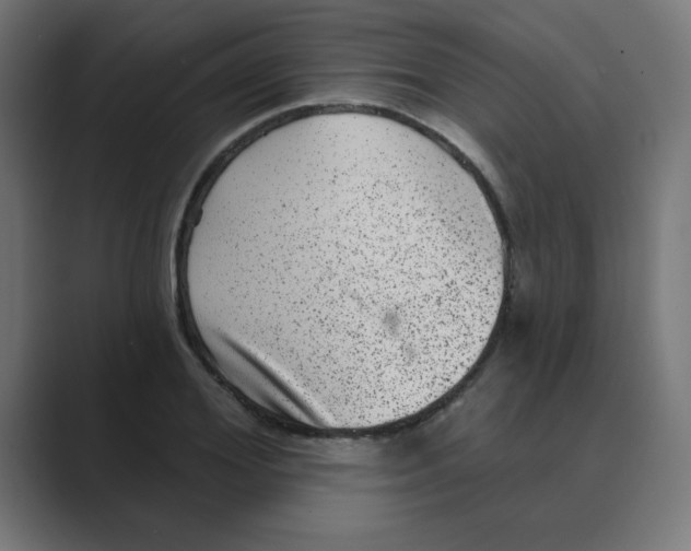 X0000088430980200706191231