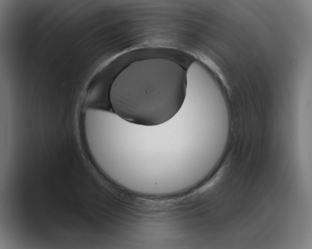 X0000088430981200706191231