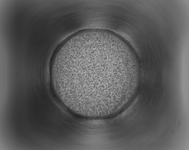 X0000088430982200706191231