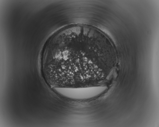 X0000088430983200706191231