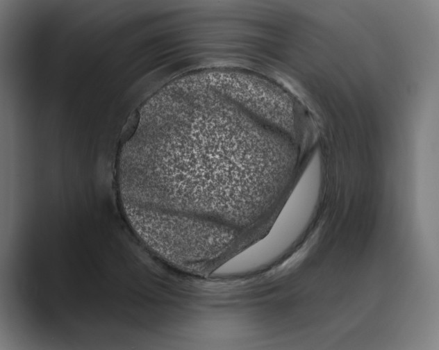 X0000088430985200706191231