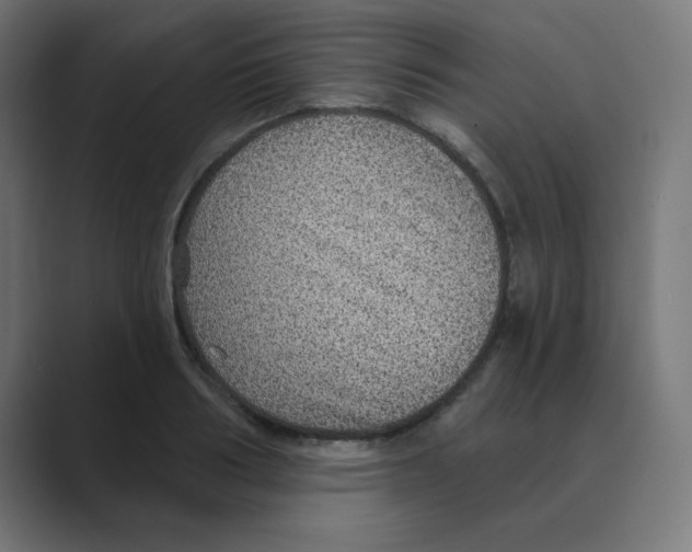 X0000088430986200706191231