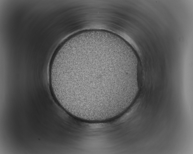 X0000088430988200706191231