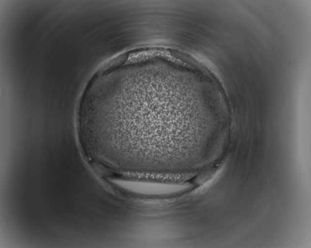 X0000088430989200706191231