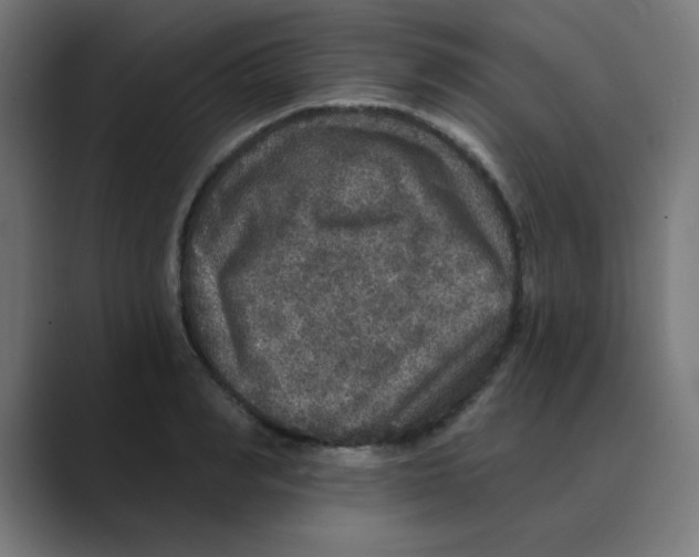 X0000088430990200706191231