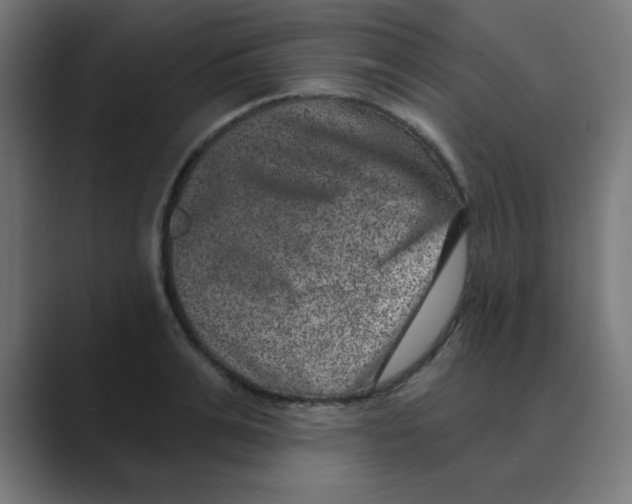 X0000088430991200706191231