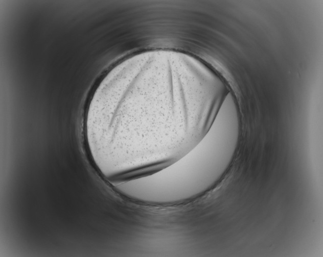 X0000088430992200706191231