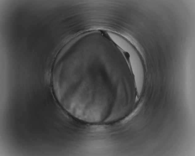 X0000088430993200706191231