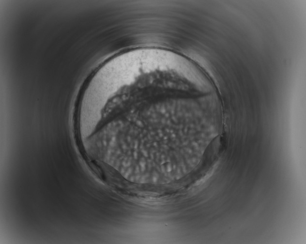 X0000088430995200706191231