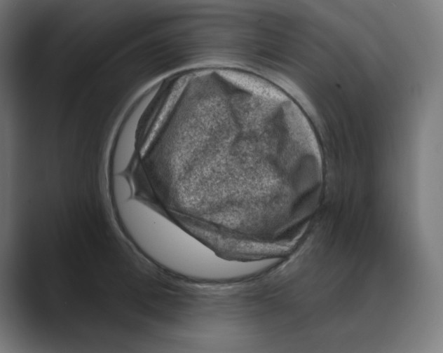 X0000088430996200706191231