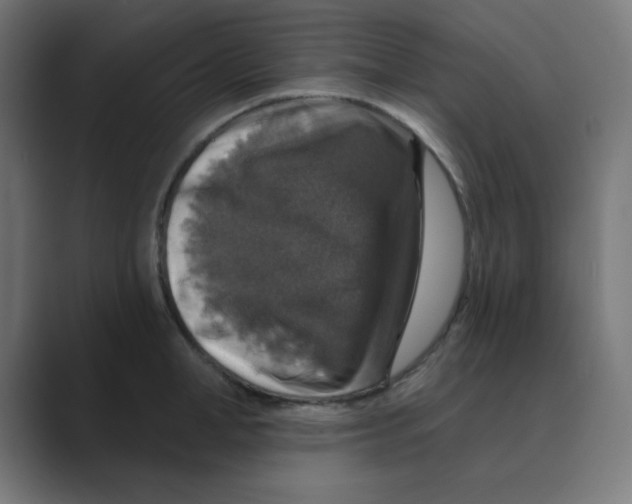 X0000088430998200706191231