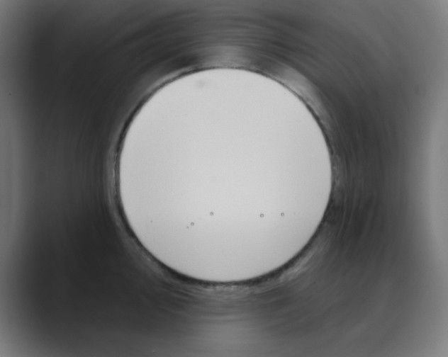 X0000088431000200706191231