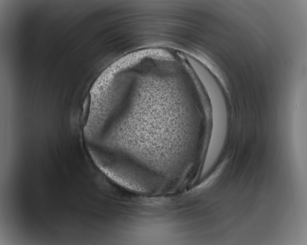 X0000088431001200706191231